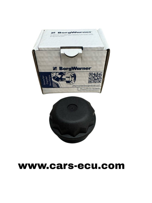 BorgWarner Haldex oil filter 1.Gen. - 02D525558A